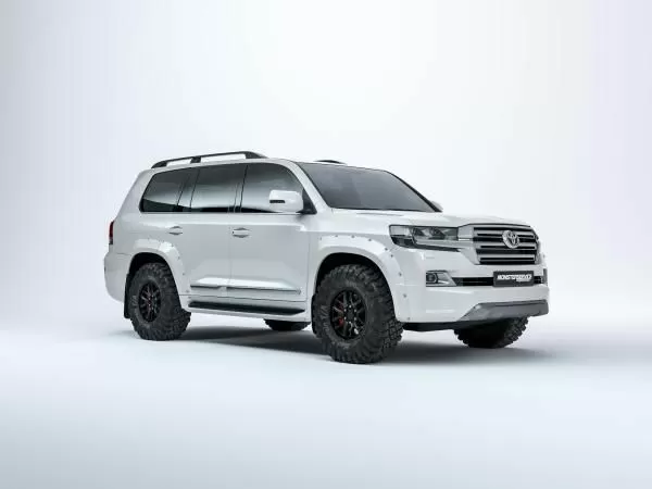 Fender flares TLC 200 2015-20