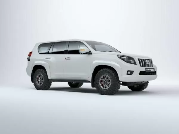 Fender flares TLC Prado 2009-2018