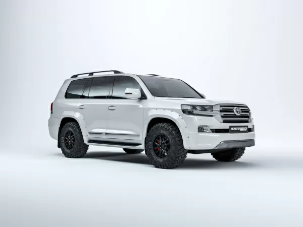 Fender flares TLC 200 2015-20