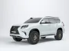 Snorkel GX460 