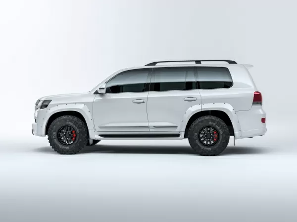 Fender flares TLC 200 2015-20