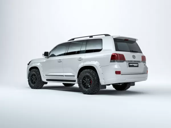 Fender flares TLC 200 2015-20